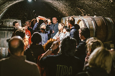 Wine tasting in Hulata's cellar
