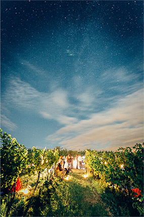 Watching Perseid Meteor Shower in vinyards